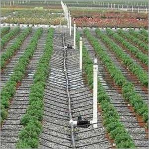 Drip Irrigation Sprinkler